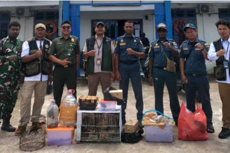Karantina Papua Selatan Gagalkan Penyelundupan 47 Satwa Dilindungi