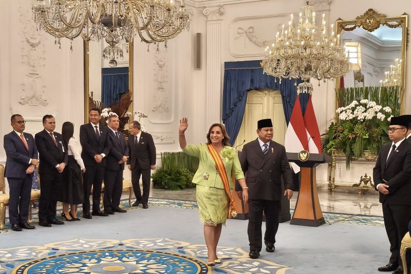 Indonesia dan Peru Sepakat Dukung Solusi Palestina