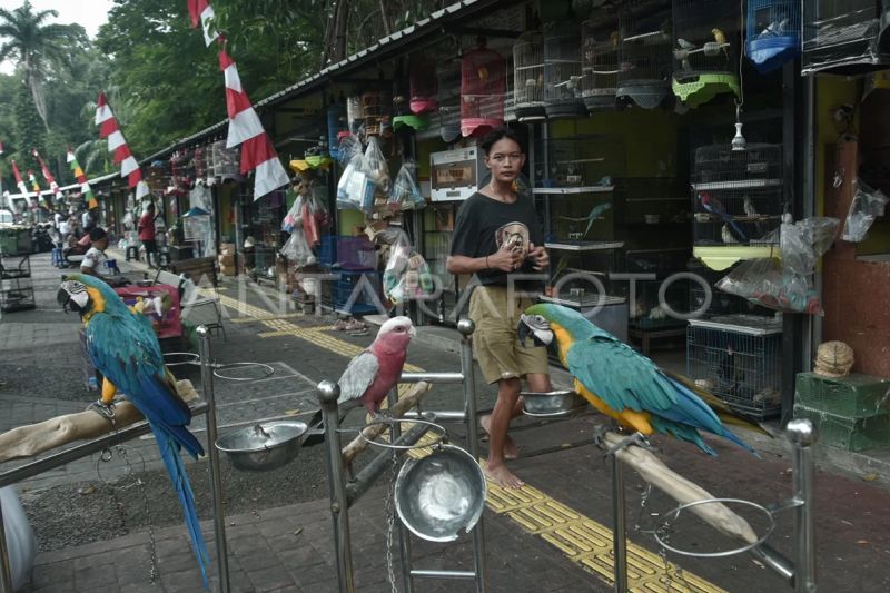 Relokasi Pasar Hewan Barito, Pemprov Siapkan Lokasi Permanen