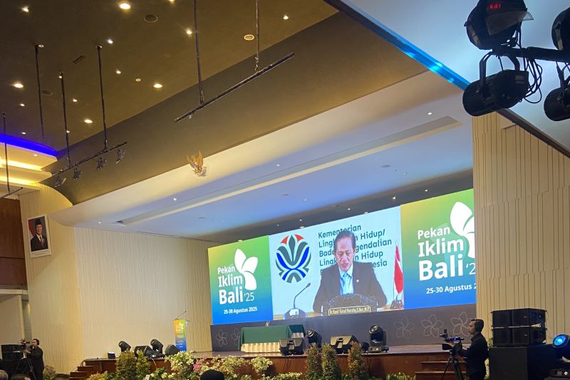 Menteri LH Isyaratkan Salju Puncak Carstensz Hilang di 2026