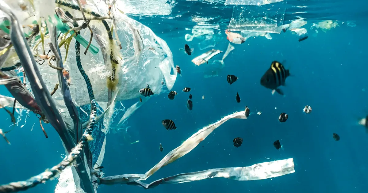 Sensus Sampah Plastik BRUIN Ungkap Dalang Pencemaran Sampah